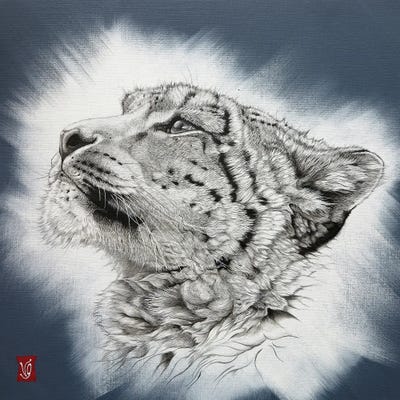 Appearance (Snow Leopard) by Valerie Glasson art print