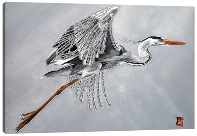 Flight (Heron) Canvas Art Print - The Art of the Feather