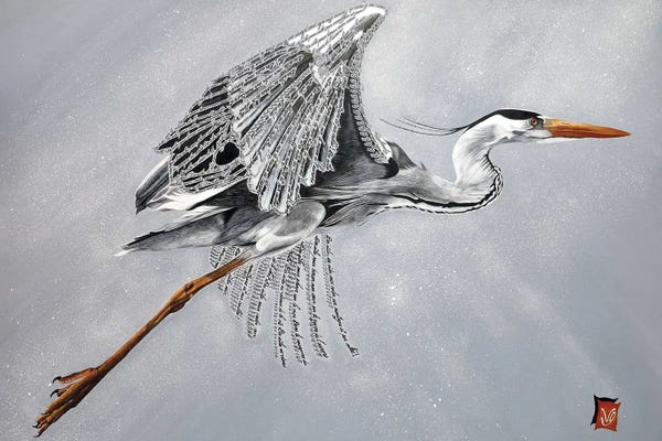 The Art Of The Feather: Flight (Heron) by Valerie Glasson