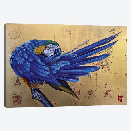 Gustavo I (Blue Macaw) Canvas Print #VGL11} by Valerie Glasson Canvas Print
