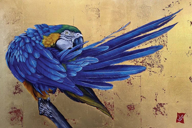 Gustavo I (Blue Macaw)