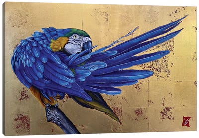 Gustavo I (Blue Macaw) Canvas Art Print - Valerie Glasson