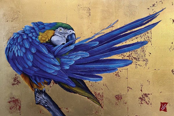 Macaws: Gustavo I (Blue Macaw) by Valerie Glasson