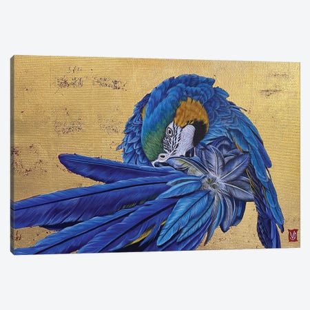Gustavo Ii (Blue Macaw) Canvas Print #VGL12} by Valerie Glasson Art Print