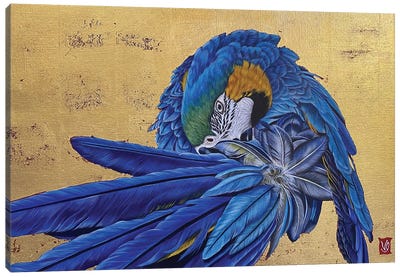 Gustavo Ii (Blue Macaw) Canvas Art Print - Valerie Glasson