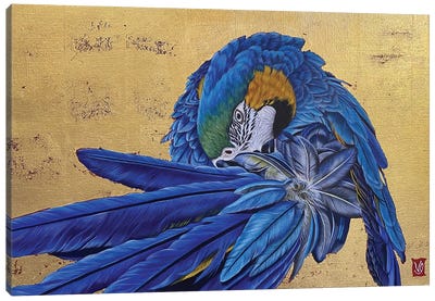 Gustavo Ii (Blue Macaw) Canvas Art Print - Macaw Art