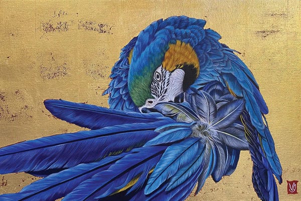 Macaws: Gustavo Ii (Blue Macaw) by Valerie Glasson