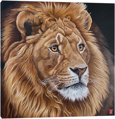 His Majesty (Lion) Canvas Art Print - Valerie Glasson