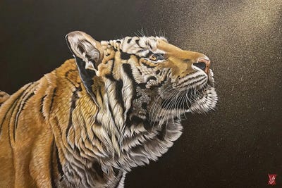 Hope (Tiger) by Valerie Glasson acrylic art print