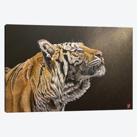 Hope (Tiger) Canvas Print #VGL15} by Valerie Glasson Canvas Wall Art