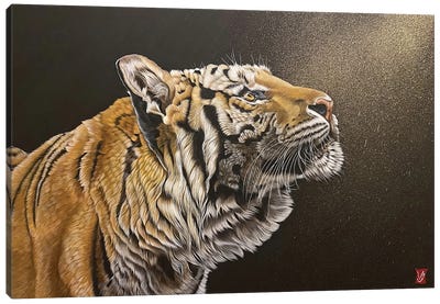Hope (Tiger) Canvas Art Print - Valerie Glasson