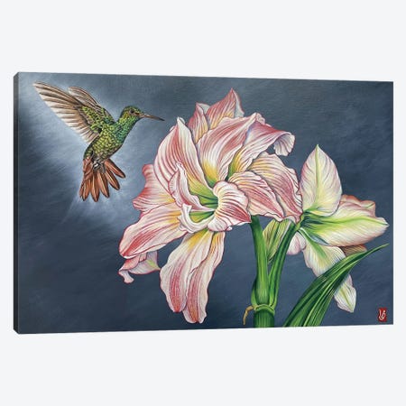 In A Wingbeat (Hummingbird And Amaryllis) Canvas Print #VGL16} by Valerie Glasson Canvas Wall Art