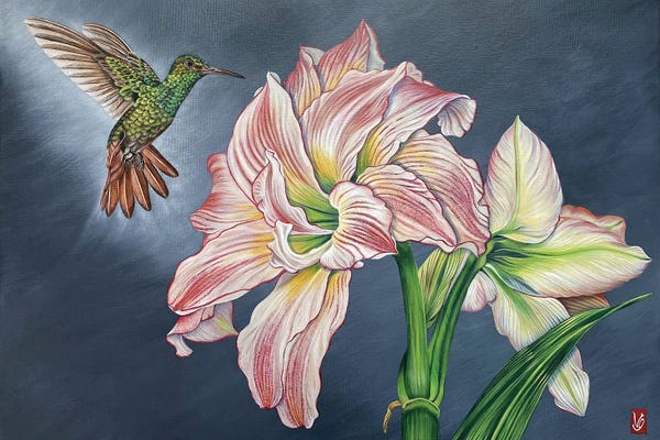 Amaryllis: In A Wingbeat (Hummingbird And Amaryllis) by Valerie Glasson