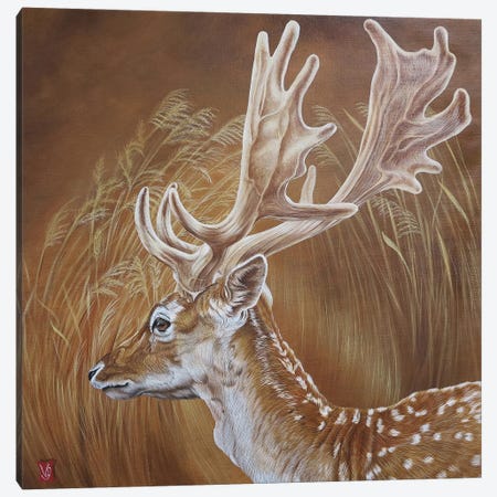 In The Reeds (Deer) Canvas Print #VGL17} by Valerie Glasson Canvas Art