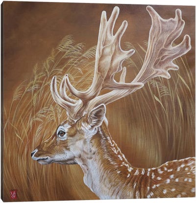 In The Reeds (Deer) Canvas Art Print - Valerie Glasson