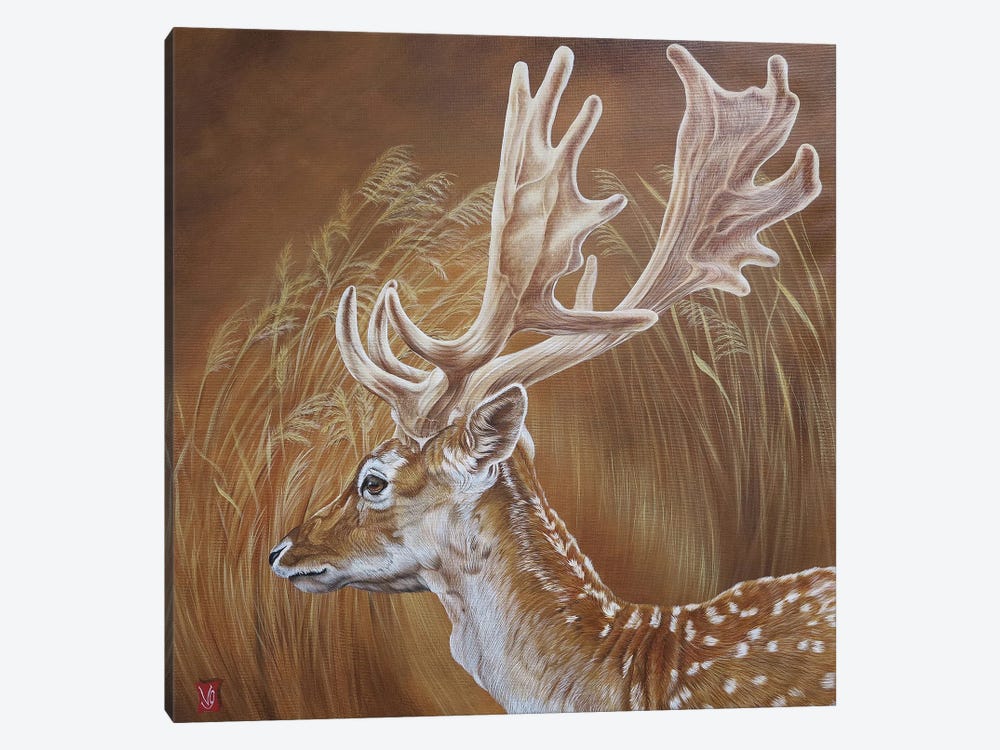 In The Reeds (Deer) by Valerie Glasson 1-piece Canvas Art Print