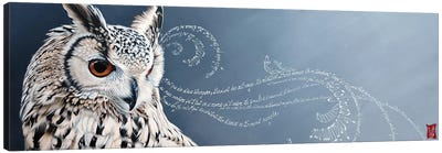 Meditation I (Eagle Owl) Canvas Art Print - Valerie Glasson