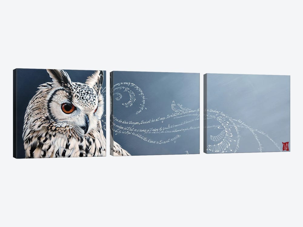 Meditation I (Eagle Owl) by Valerie Glasson 3-piece Canvas Art Print