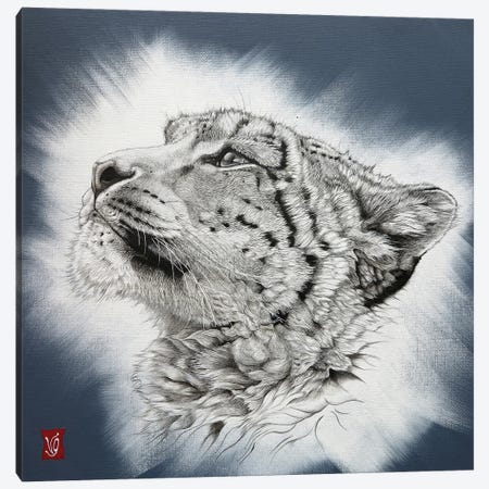 Appearance (Snow Leopard) Canvas Print #VGL1} by Valerie Glasson Canvas Art Print