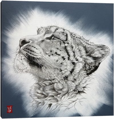 Appearance (Snow Leopard) Canvas Art Print - Valerie Glasson