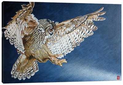 Night Fly (Eagle Owl) Canvas Art Print - Valerie Glasson