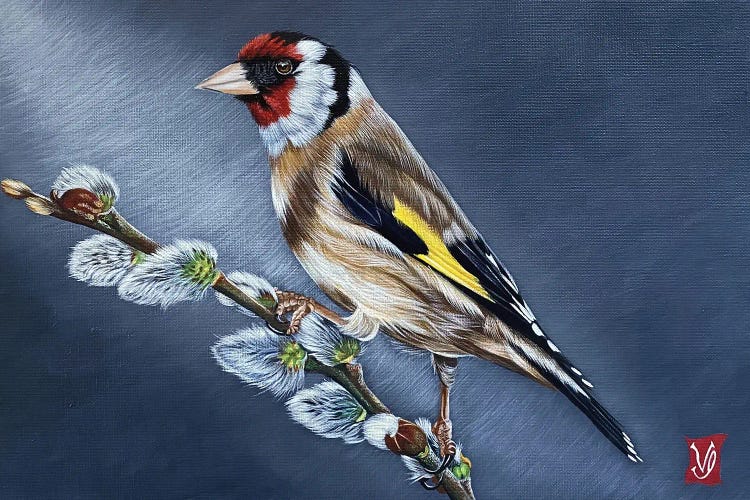 On The Branch (Goldfinch)