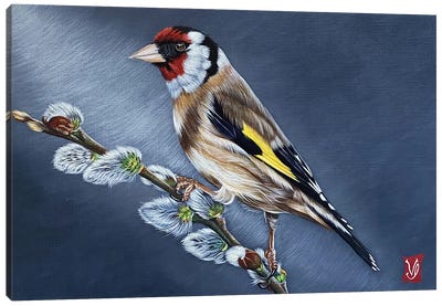 On The Branch (Goldfinch) Canvas Art Print - Valerie Glasson