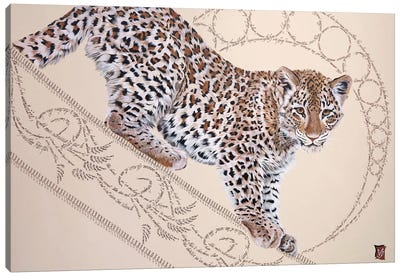 On The String (Young Leopard) Canvas Art Print - Valerie Glasson