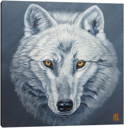 Arctic Wolf Canvas Art Print - Valerie Glasson