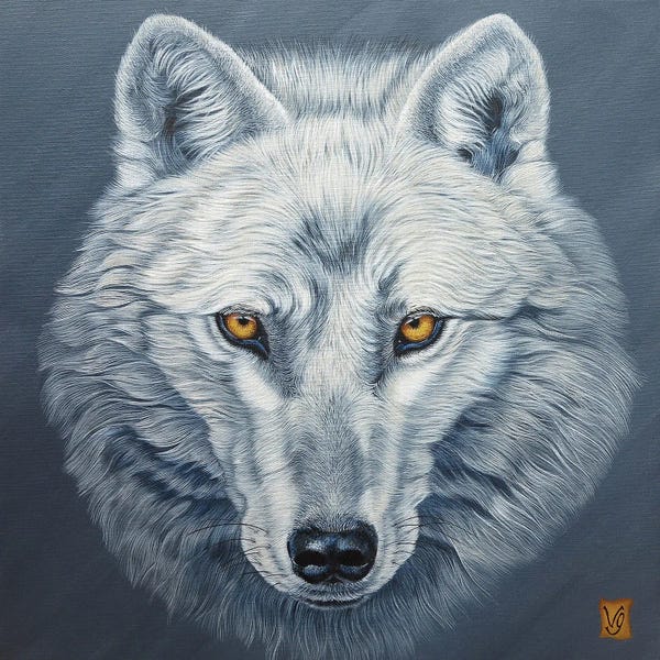 Wolves: Arctic Wolf by Valerie Glasson