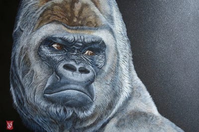 Asato (Gorilla) by Valerie Glasson acrylic art print