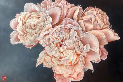 Silk, Light And Transparency (Peonies) by Valerie Glasson acrylic art print