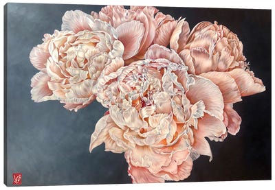 Silk, Light And Transparency (Peonies) Canvas Art Print - Valerie Glasson