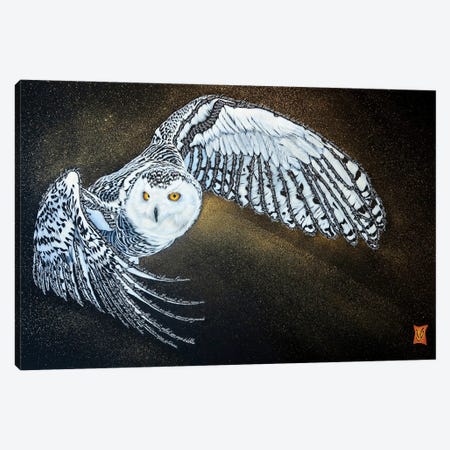 Snow (Snowy Owl) Canvas Print #VGL31} by Valerie Glasson Art Print