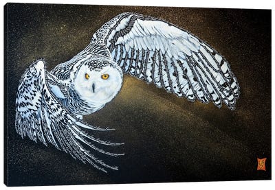 Snow (Snowy Owl) Canvas Art Print - Valerie Glasson