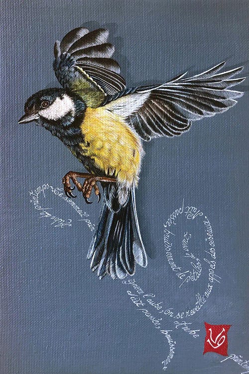 Spring Bird (Tit)