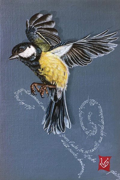 Spring Bird (Tit)