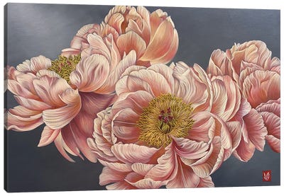 Spring Scent (Peonies) Canvas Art Print - Similar to Georgia O'Keeffe