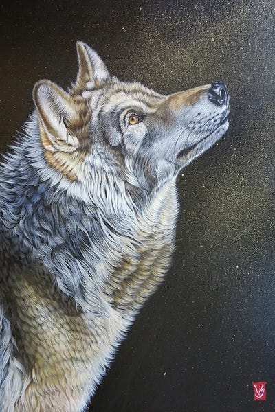 Stardust (Wolf) by Valerie Glasson acrylic art print