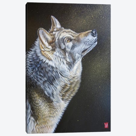 Stardust (Wolf) Canvas Print #VGL35} by Valerie Glasson Canvas Artwork