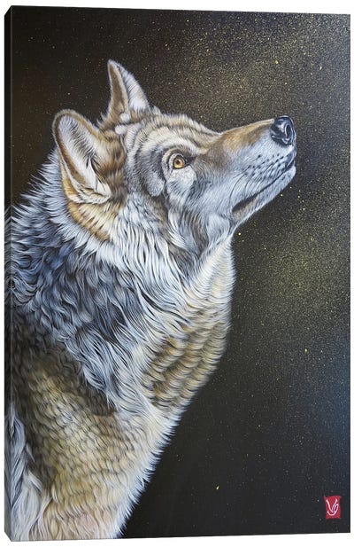 Stardust (Wolf) Canvas Art Print - Valerie Glasson