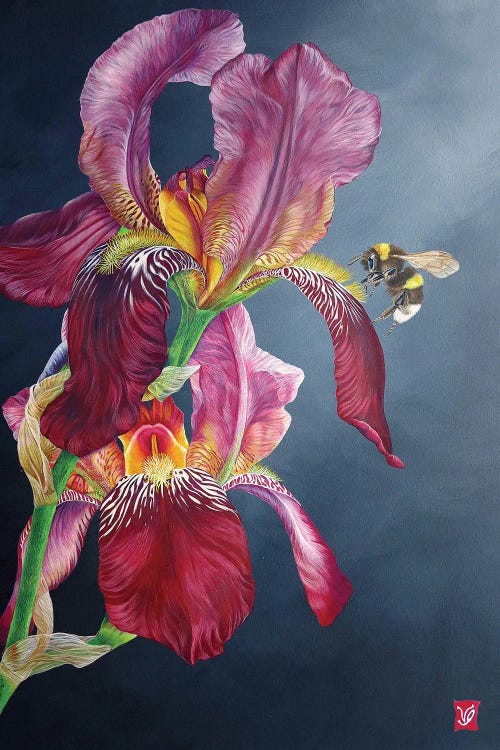 The Bumblebee And The Iris by Valerie Glasson wall art