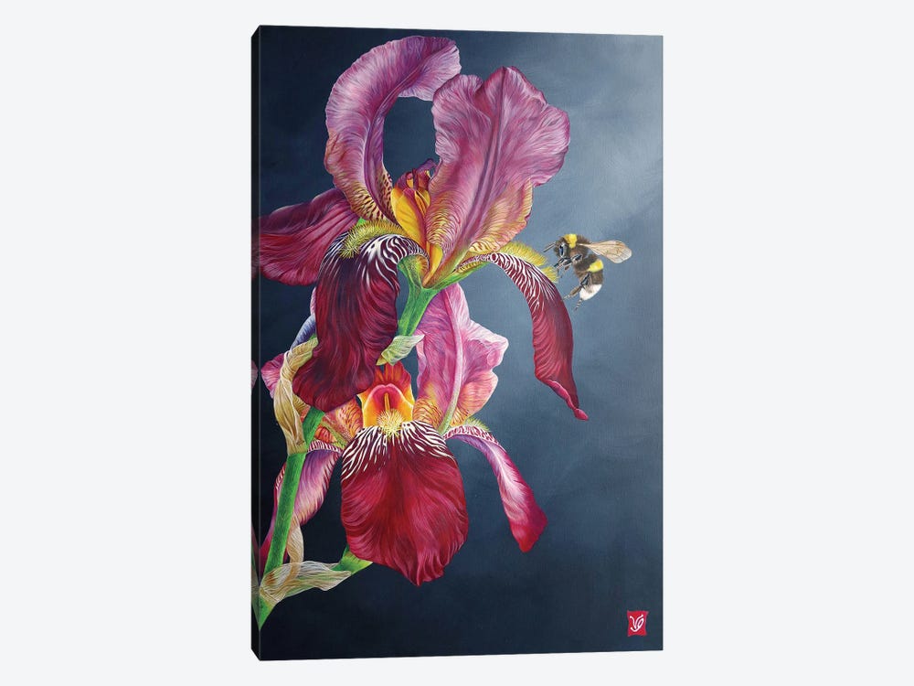 The Bumblebee And The Iris by Valerie Glasson 1-piece Canvas Artwork