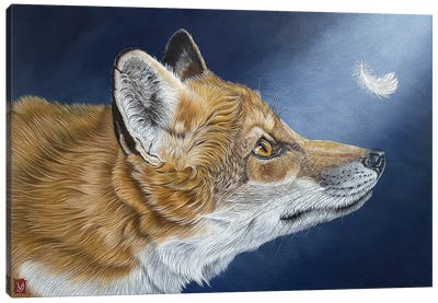 The Feather (Fox) Canvas Art Print - Valerie Glasson