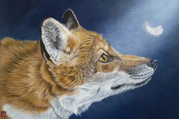 Feathers: The Feather (Fox) by Valerie Glasson