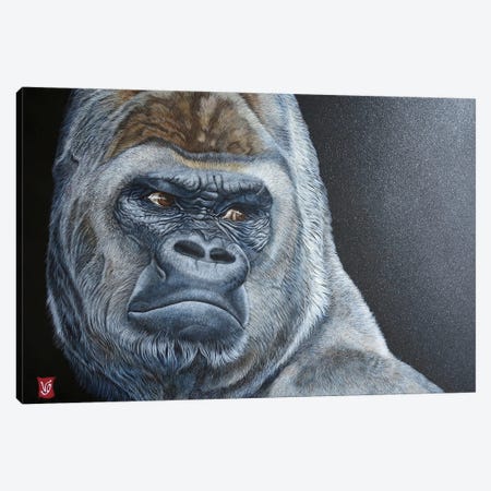 Asato (Gorilla) Canvas Print #VGL3} by Valerie Glasson Canvas Art Print