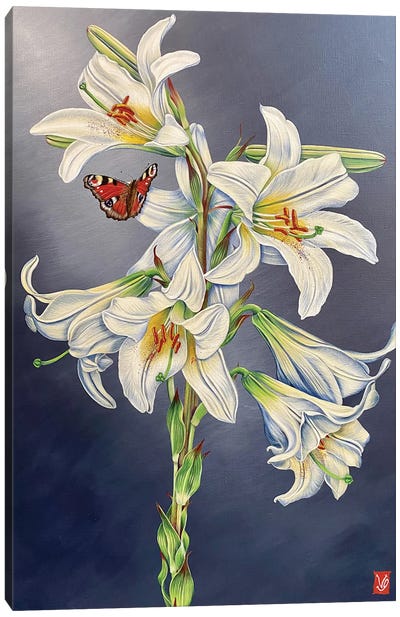 White Lilly And Butterfly I Canvas Art Print - Lily Art