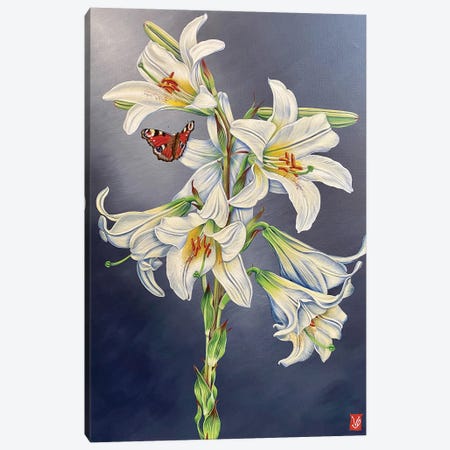 White Lilly And Butterfly I Canvas Print #VGL42} by Valerie Glasson Canvas Art