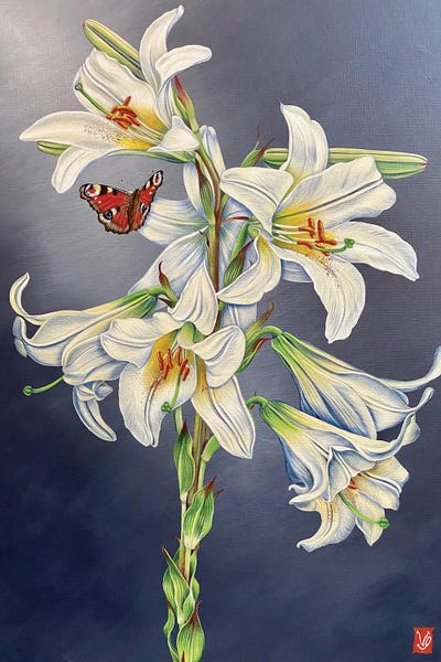 Butterflies and Flowers: White Lilly And Butterfly I by Valerie Glasson