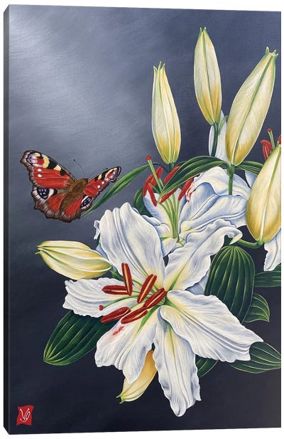 White Lilly And Butterfly II Canvas Art Print - Lily Art